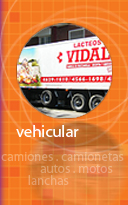 ploteo y decoración de autos, camionetas, camiones, motos, barcos, aviones